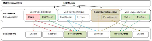 Procede de valorisation energetique Biomasse